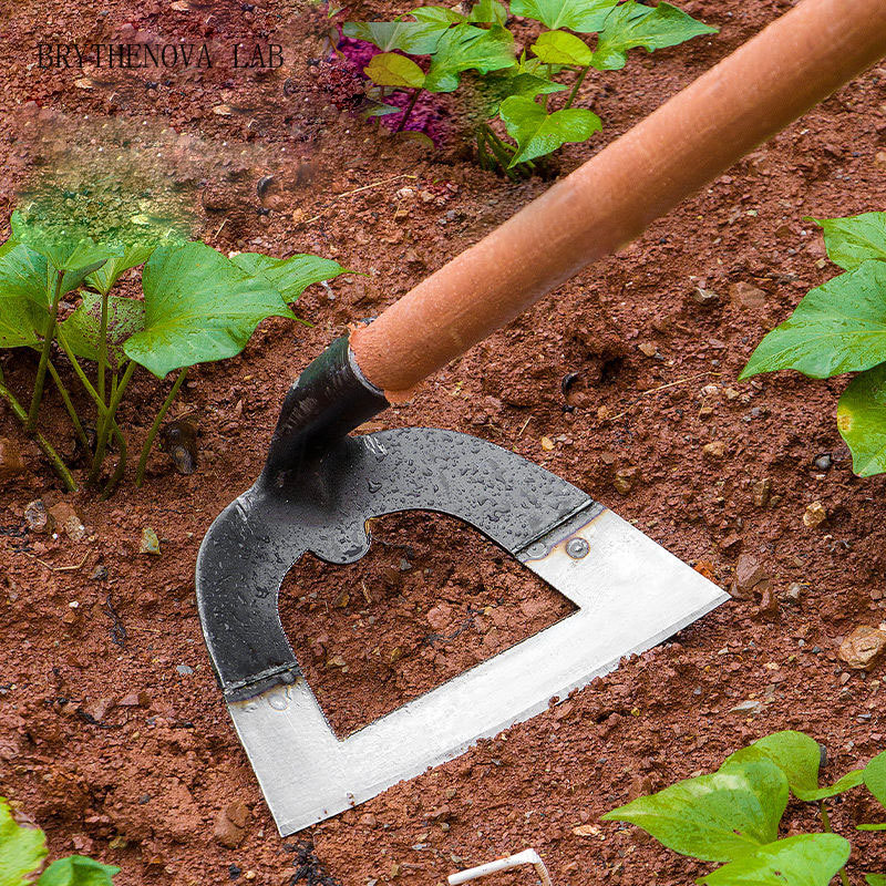 Gardening Tools On Sale - Outils de jardinage : Hachette et