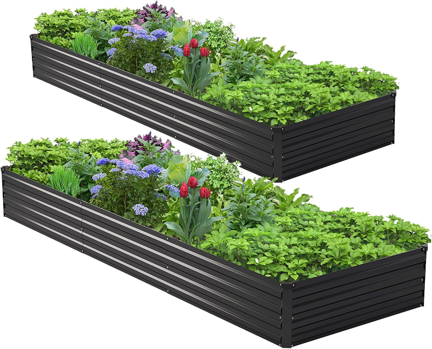 Raised Bed Planter Box - Kit de 2 bacs de jardin