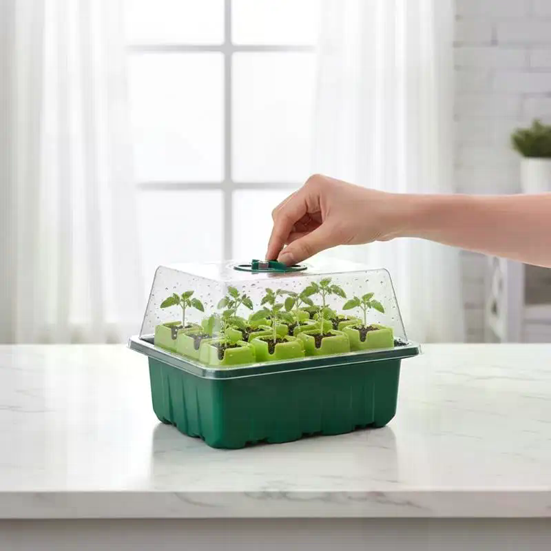Kit de Germination 1 Ensemble  - Propagation Tray Dome avis et prix