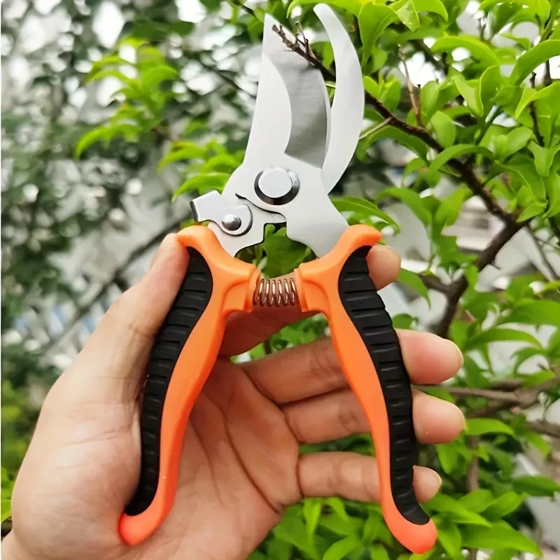 Ciseaux de jardinage professio - Gardening Tools On Sale avis et prix
