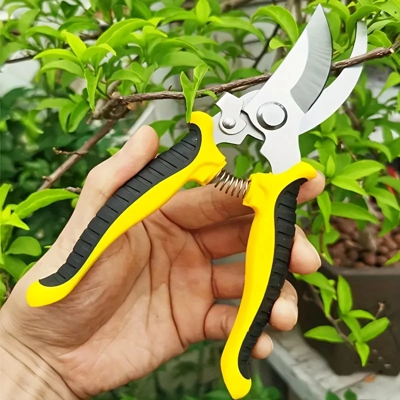 Ciseaux de jardinage professio - Gardening Tools On Sale avis et prix