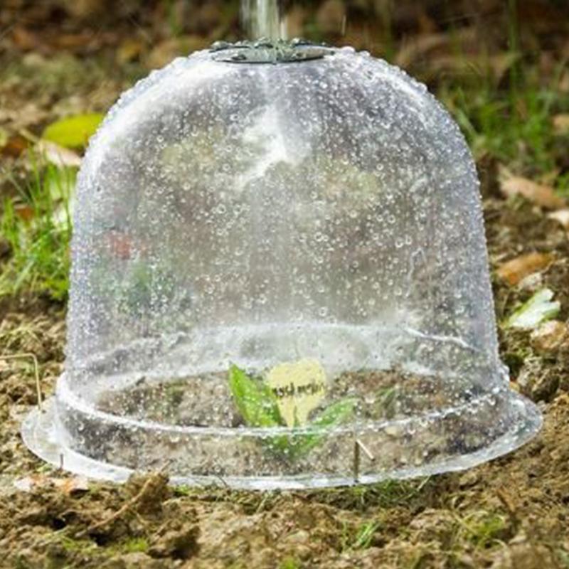 Dôme d'humidité des plantes, c - Propagation Tray Dome avis et prix