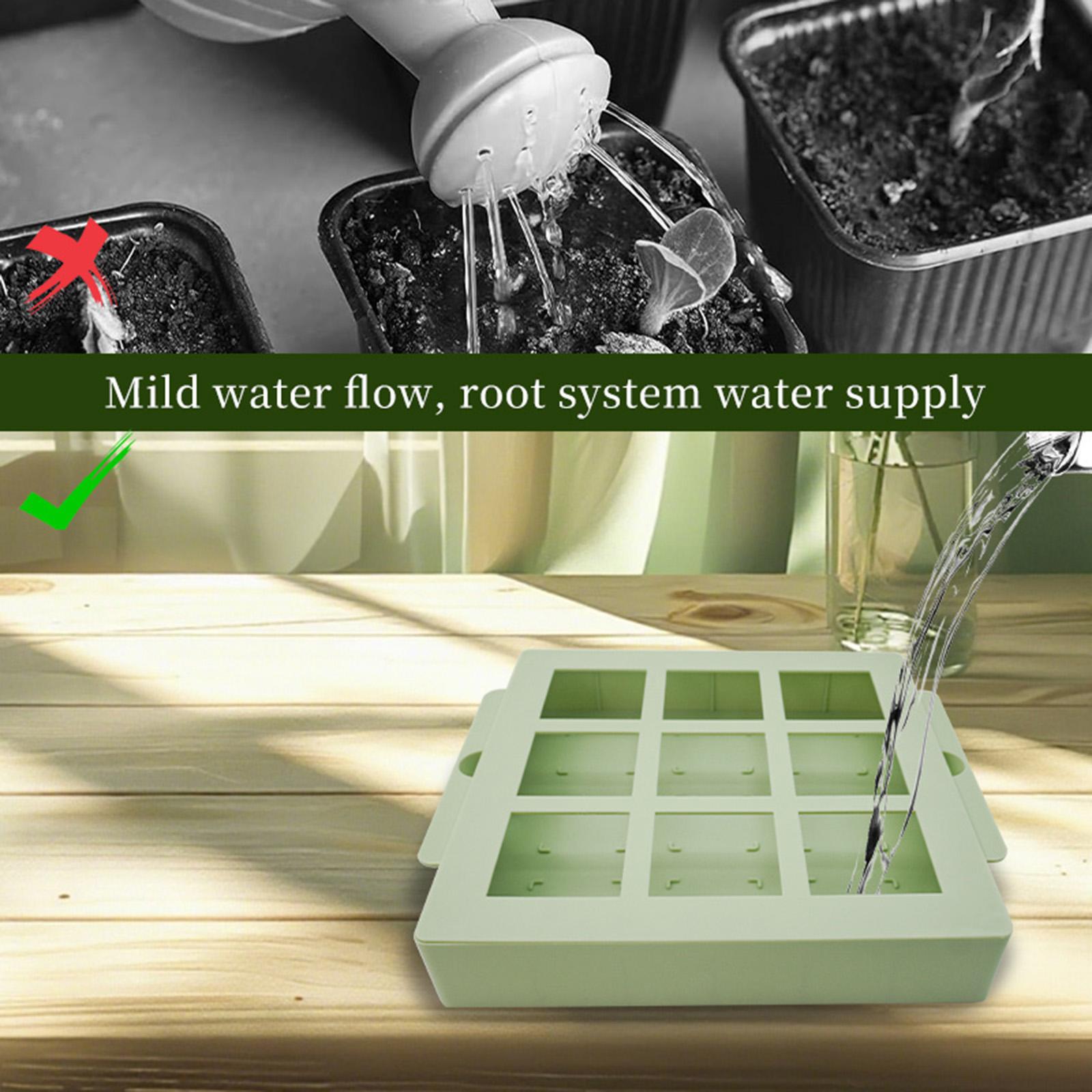 Kit de démarrage pour plantes  - Propagation Tray Dome avis et prix