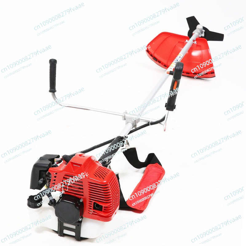 FS250 modèle de débroussailleu - Gardening Tools Best avis et prix