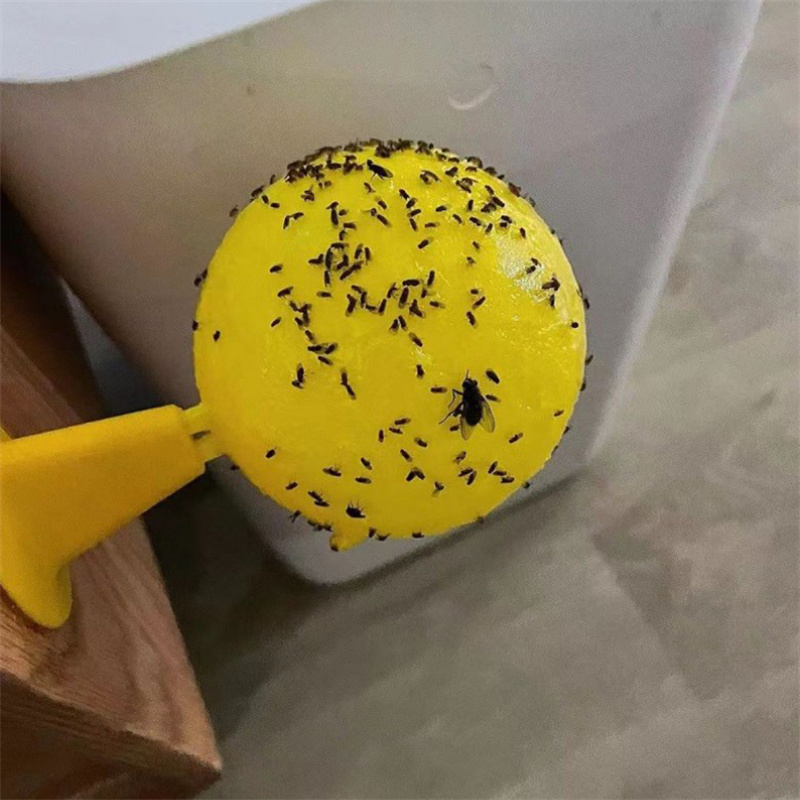 Piège collant jaune pour insec - Pest Trap Yellow Sticky avis et prix