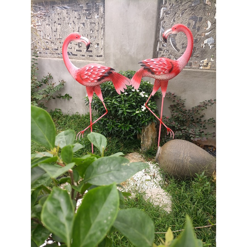 Exportation Amazon populaire c - Gardening Tools Amazon avis et prix