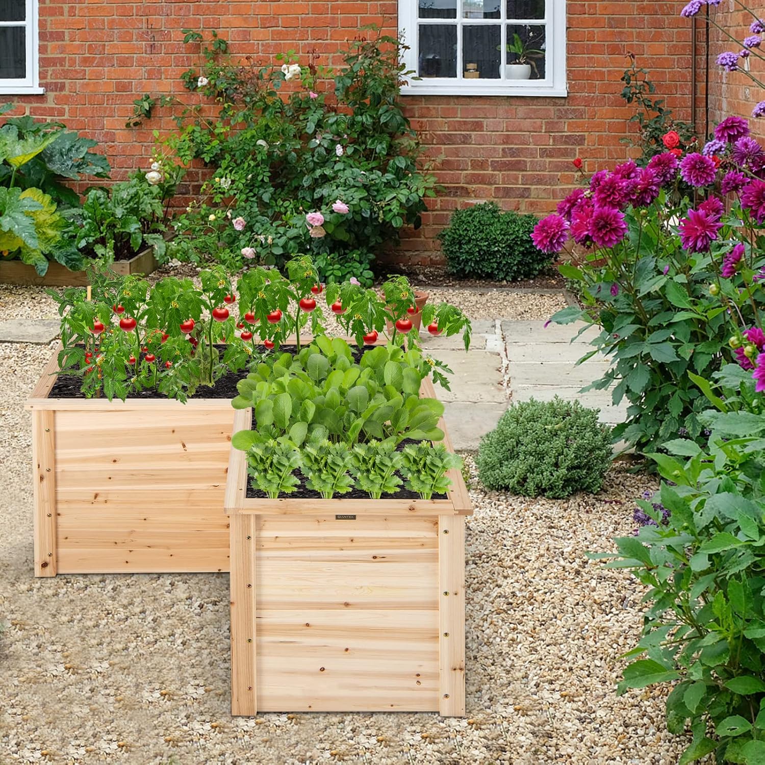 Bac à légumes surélevé en bois - Raised Bed Planter Box avis et prix