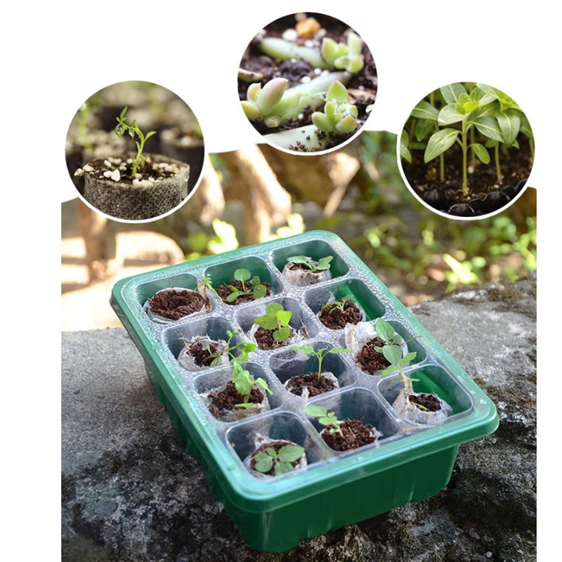 Plateau de germination 6/12 al - Propagation Tray Dome avis et prix