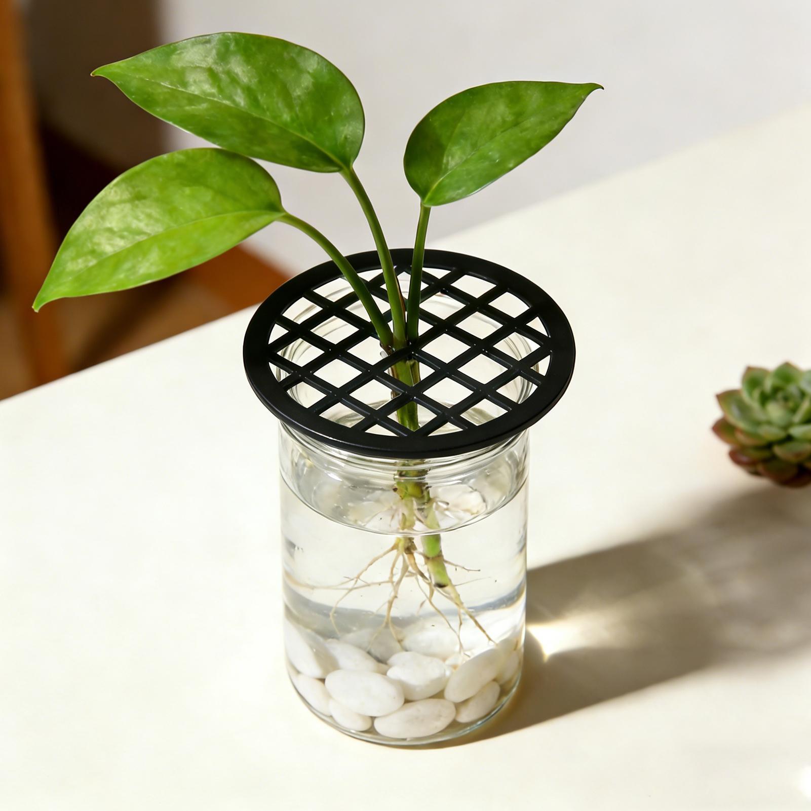 Support de branches de plantes - Propagation Tray Dome avis et prix